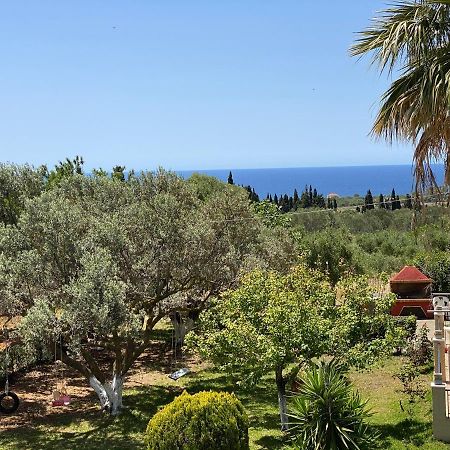 Lemon Tree Apartments A D Argostoli  Luaran gambar