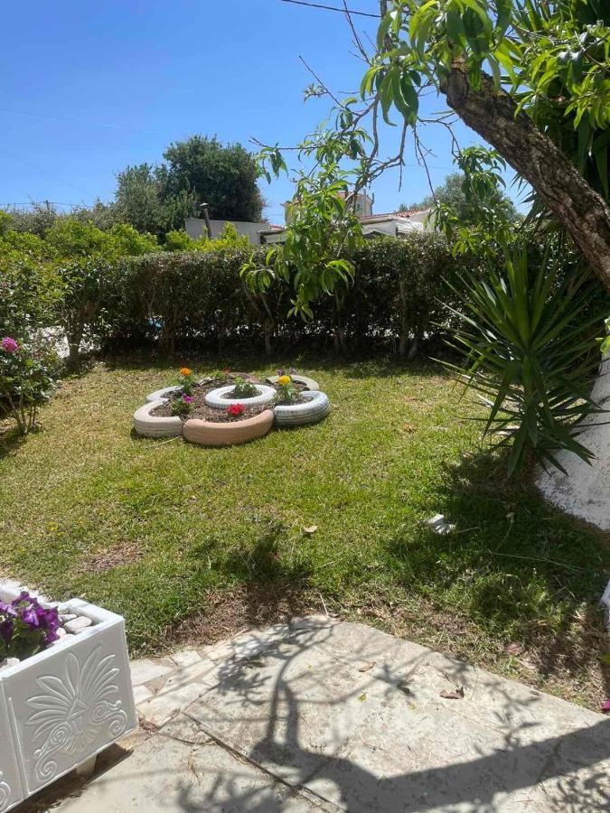 Lemon Tree Apartments A D Argostoli  Luaran gambar